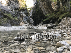 A6D2F707-475D-413F-8C0C-ACA6299B858B