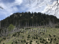 57DBE200-793B-4A50-B668-86BAB5B36541