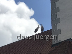 0EE75D0A-F292-4CBC-927F-9DBC65EC5870