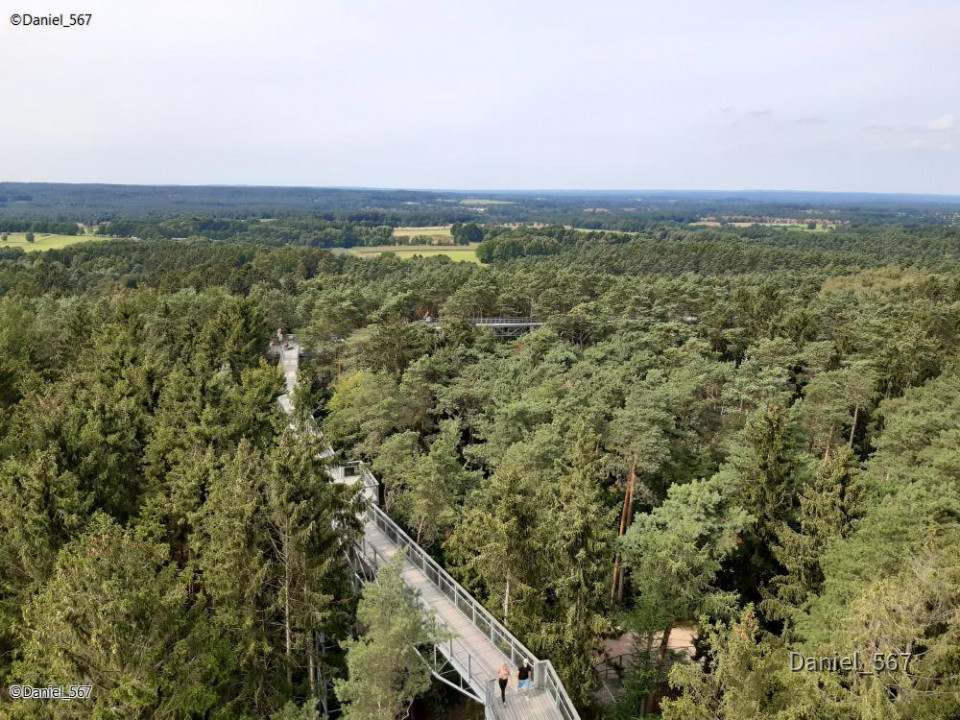 25_Hanstedt Heidehimmel