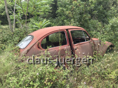 Auto (2)