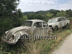 Auto (19)
