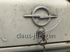 Auto (10)