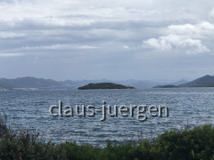 IMG_6285~photo