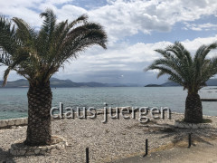 IMG_6279~photo