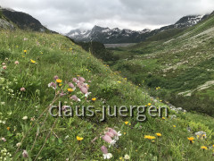 D1AF6909-2139-4565-85B0-7B5FC5617B1C