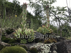 7061AA3D-5834-46F1-8C5B-7B827628584C