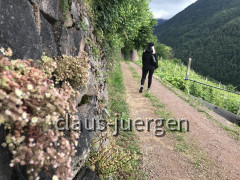 287120E6-EA90-4E8E-AD18-357370D4F879