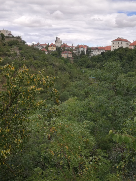 Znojmo < Nepomuk