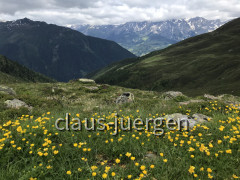 IMG_7252~photo