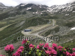 IMG_7246~photo