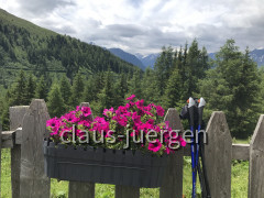 IMG_7267~photo