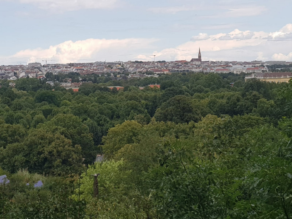 Zoo Schönbrunn