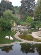 Zoo Schönbrunn