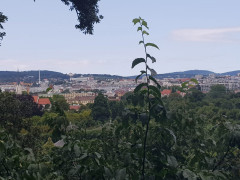 Zoo Schönbrunn