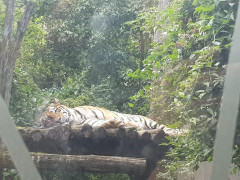 Zoo Schönbrunn