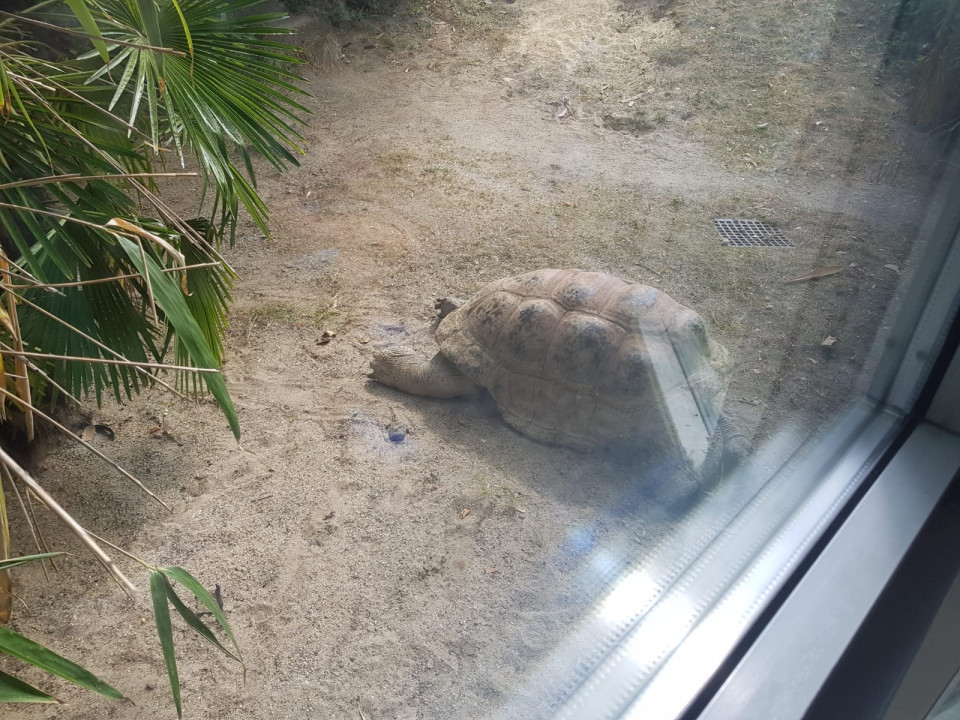 Zoo Schönbrunn