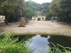 Zoo Schönbrunn