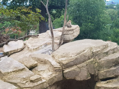 Zoo Schönbrunn