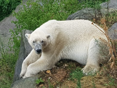 Zoo Schönbrunn