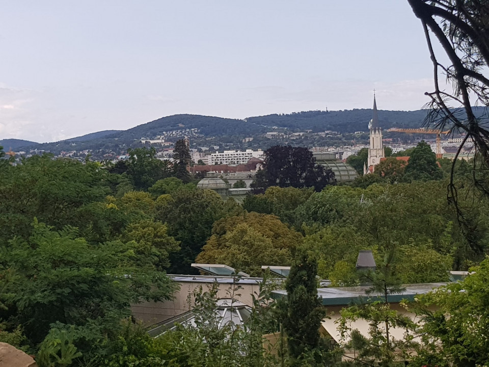 Zoo Schönbrunn