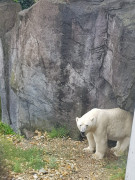 Zoo Schönbrunn