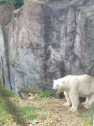 Zoo Schönbrunn