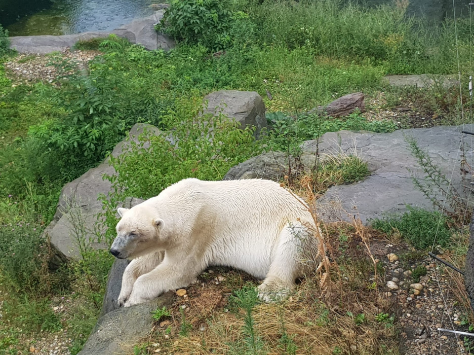 Zoo Schönbrunn