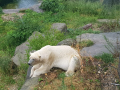 Zoo Schönbrunn
