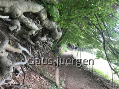 Mezzocorona (61)