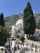 Burg Sokol (15)