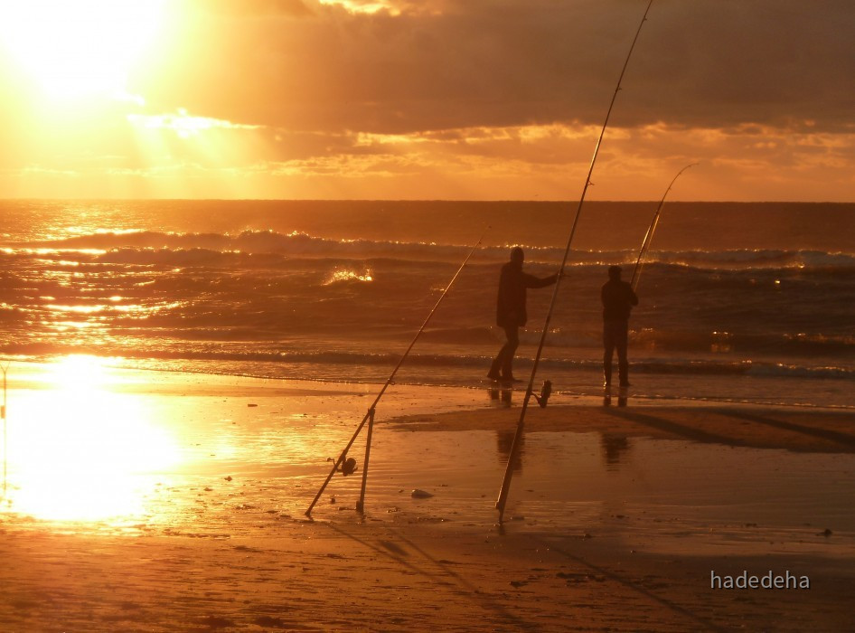 151 De Koog - Angler im Abendlicht