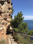 Pasjaca Strand (17)