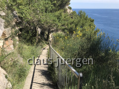 Pasjaca Strand (15)