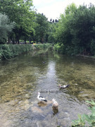 Stolac BiH (50)