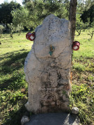 Trebinje (7)
