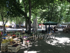 Trebinje (63)