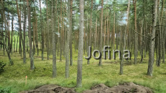 Kurische Nehrung 02