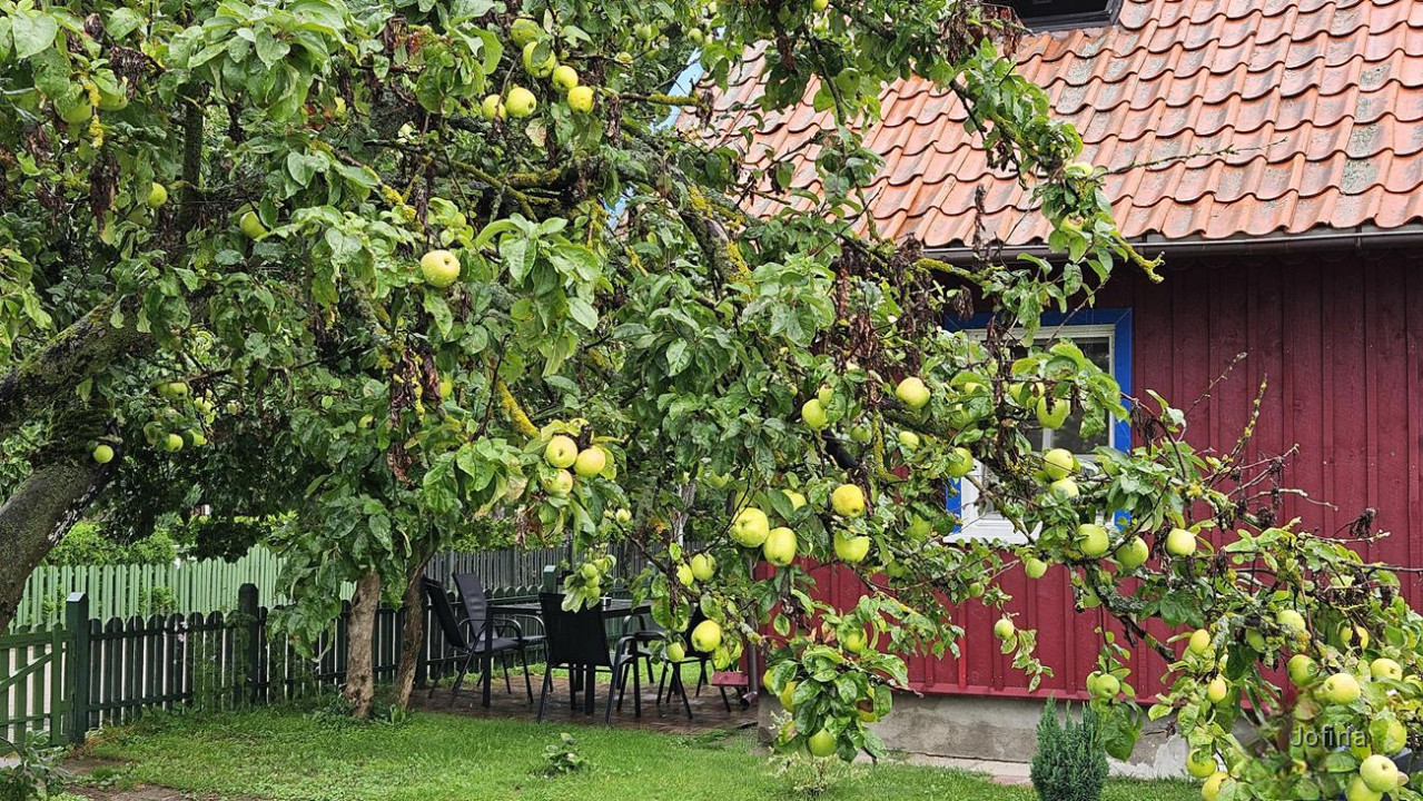 Kurische Nehrung 14