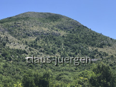 Ivanica BiH (18)