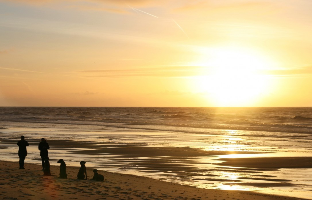 Sonnenuntergang im Watt auf Sylt