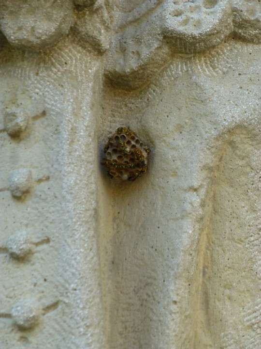 Miskolc6a