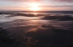 Im Watt auf Sylt