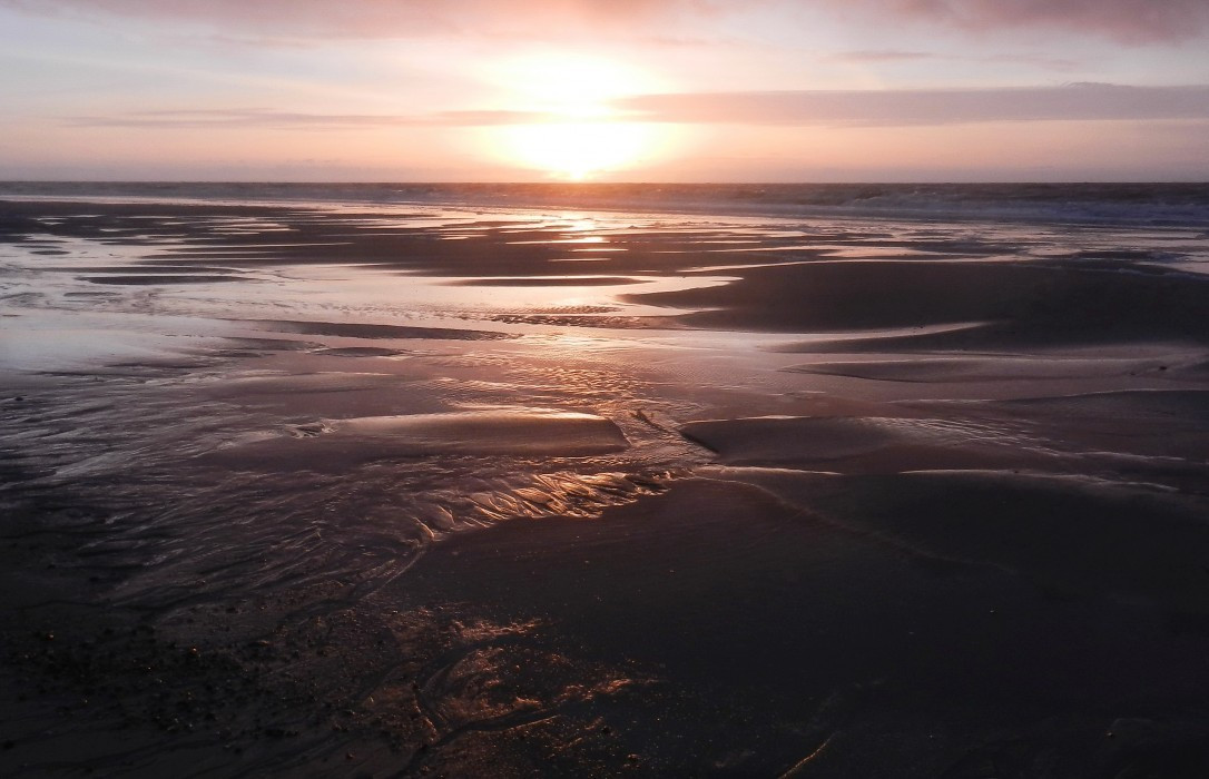Im Watt auf Sylt
