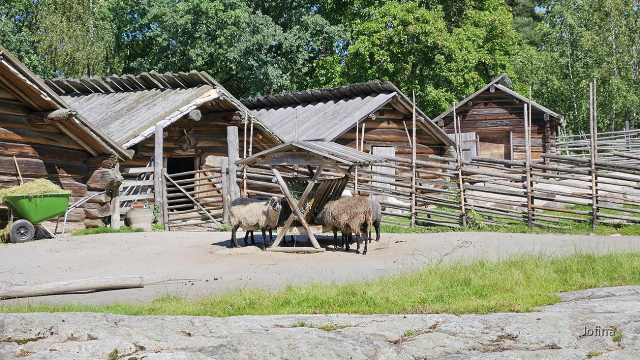 Skansen_Stockholm 14