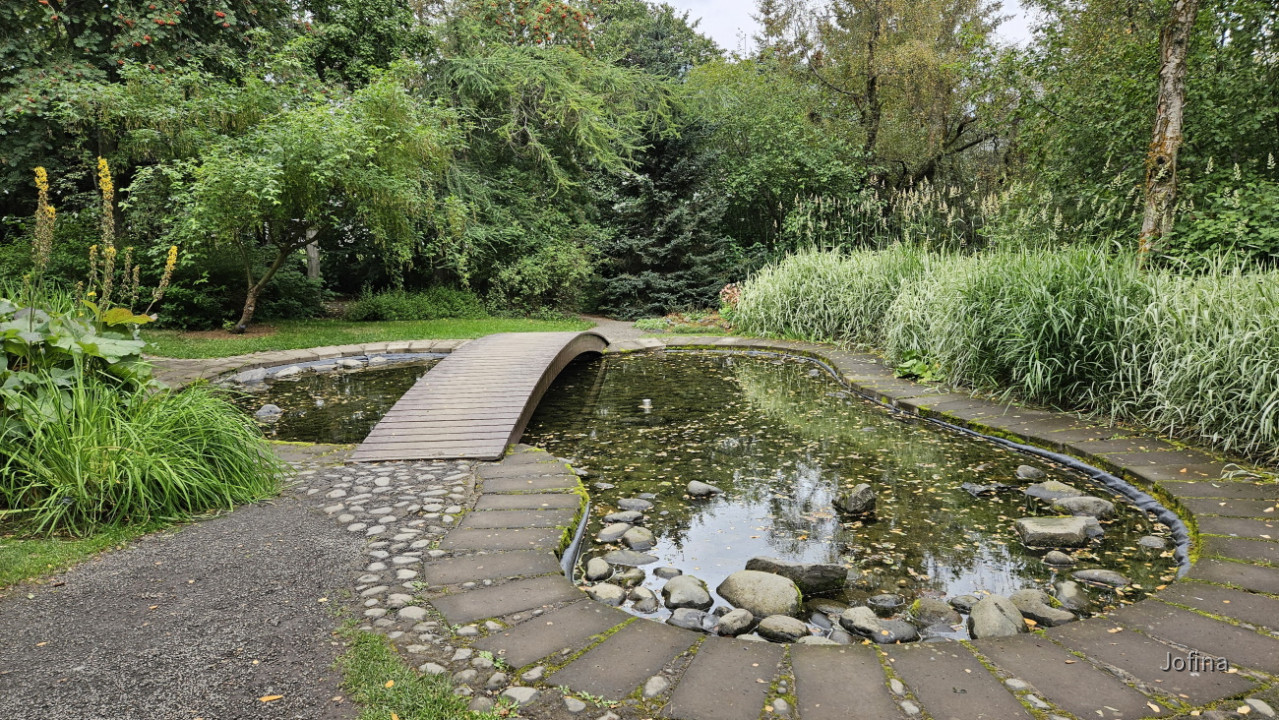 Akureyri 21