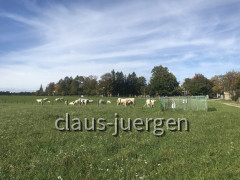 C3F9B8ED-F618-4993-8AA6-22870C824499