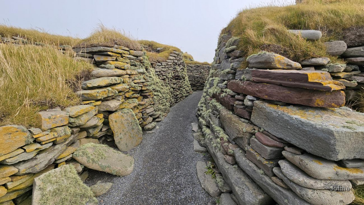 Shetland 13