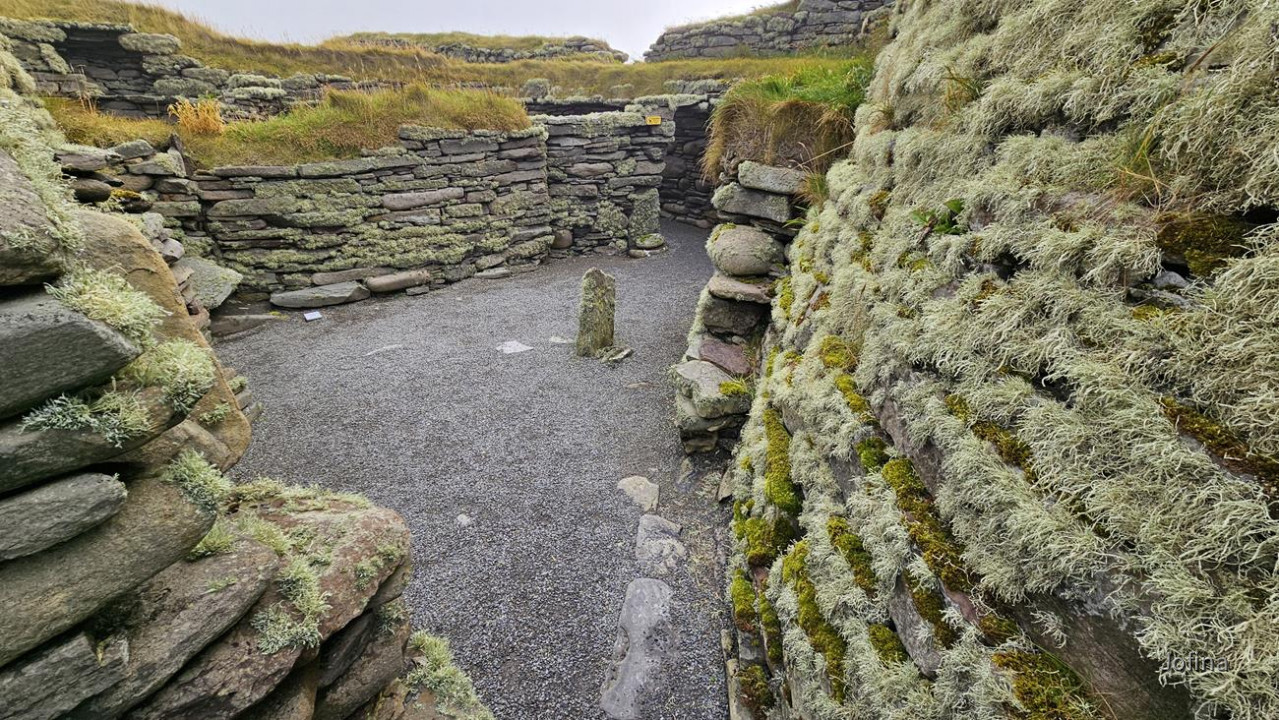 Shetland 14
