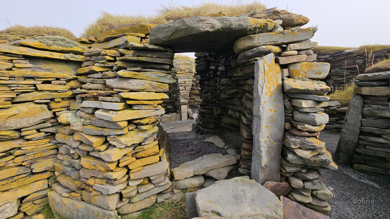 Shetland 15